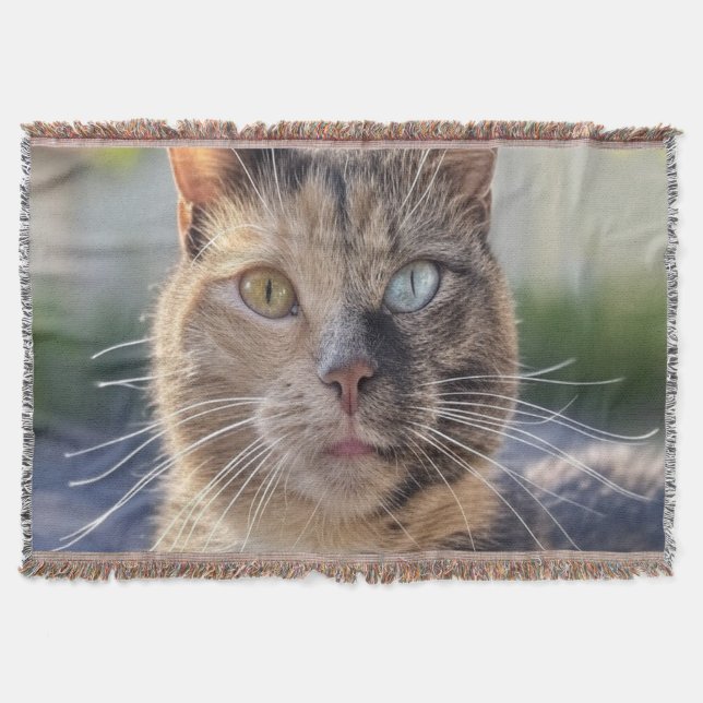 Cobertor Adicionar Personalização de Foto de Cat (Frente)