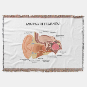 Cobertor Anatomia dos ouvidos humanos