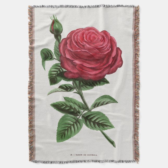 Cobertor Antique Rose Lithograph, François-Frédéric Grobon (Frente Vertical)