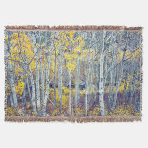 Cobertor Aspen Forest