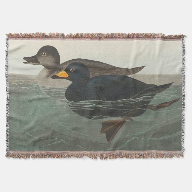 Cobertor Audubon American Scoter Duck Classic (Frente)