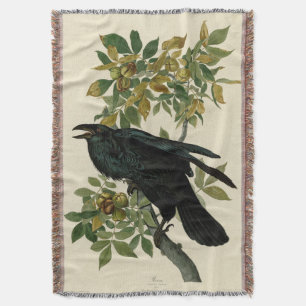 Cobertor Audubon Raven Bird Classic Trabalho de arte