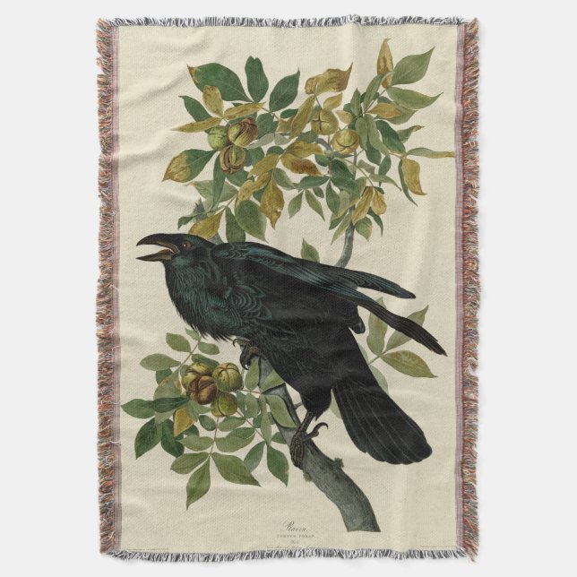 Cobertor Audubon Raven Bird Classic Trabalho de arte (Frente Vertical)