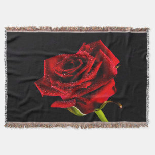 Cobertor Bela rosa vermelha