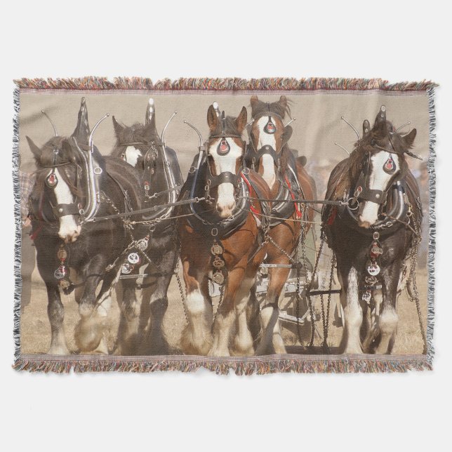 Cobertor Belos Cavalos Clydesdale Espalhando - Trabalho em  (Frente)