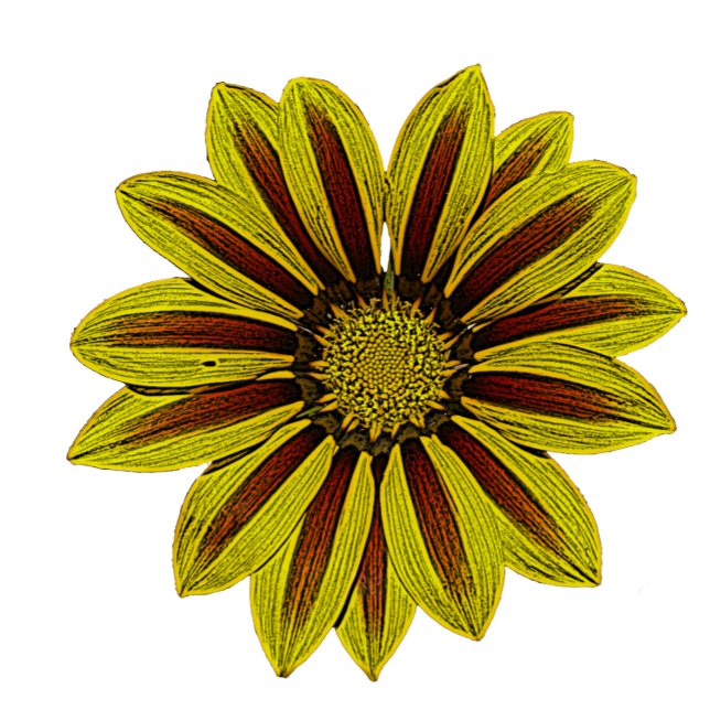 Cobertor big and bold yellow flowers with red stripes daisy (Criador carregado)