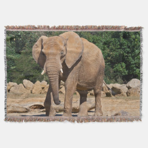 Cobertor Blanket do Elefante Bull