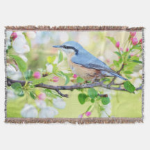 Blossomas de Ave Azul e Maçã