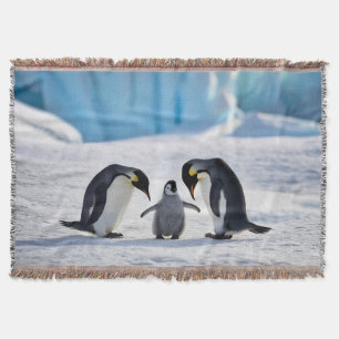 Cobertor Bolsa de Lançamento da Família Penguin