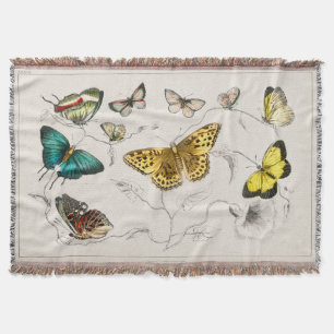 Cobertor Borboletas venenosas Insetos da mariposa