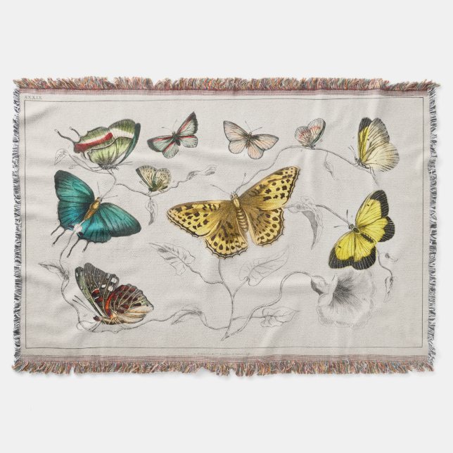 Cobertor Borboletas venenosas Insetos da mariposa (Frente)