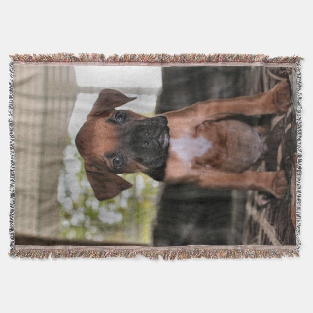 Cobertor Boxer Baby (Frente)