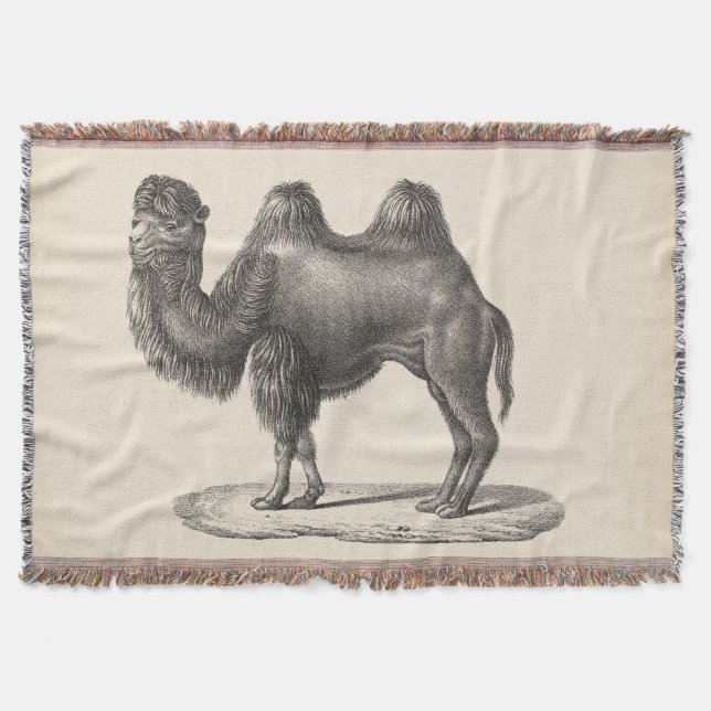 Cobertor Brodtmann Camel Sketch (Frente)