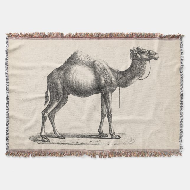 Cobertor Brodtmann Dromedary Camel Sketch (Frente)