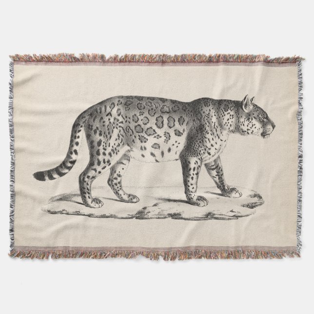 Cobertor Brodtmann Leopard Sketch (Frente)