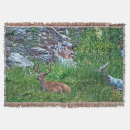 Cobertor Buck De Cama