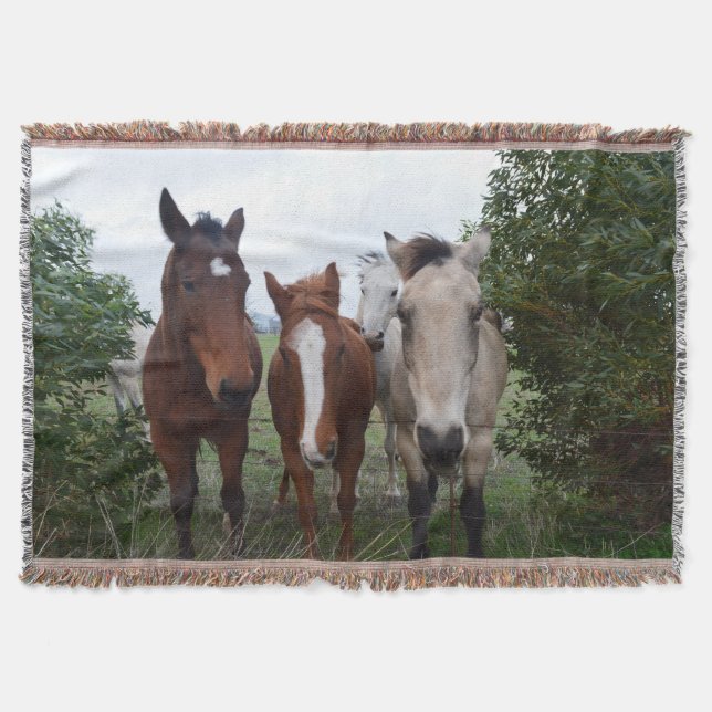 Cobertor Cabelo Alegre, Quatro Amigos Cavalos, (Frente)