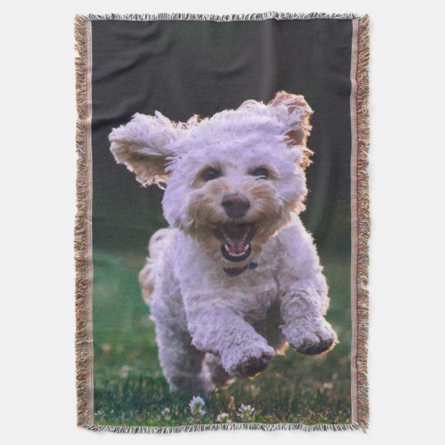 Cobertor Cachorro Branco de Poodle (Frente Vertical)