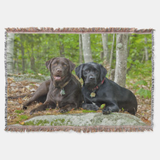 Cobertor Cães Cachorros Cachorros Puppies Black Lab Chocola