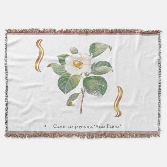 Cobertor Camellia japonica 'Alba Plena'  (Frente)