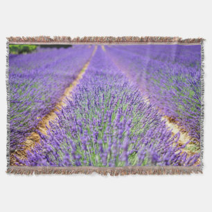 Cobertor Campo de lavanda