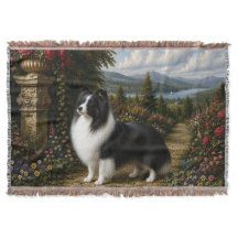 Cão de Ovelha Shetland Renascença