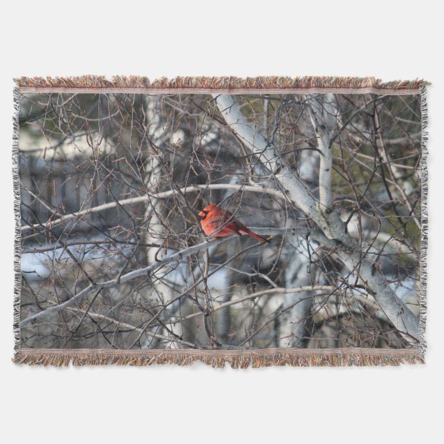 Cobertor Cardeal 2926 - Lâmpada (Frente)