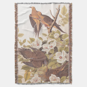 Cobertor Carolina Pigeon ou Mourning Dove