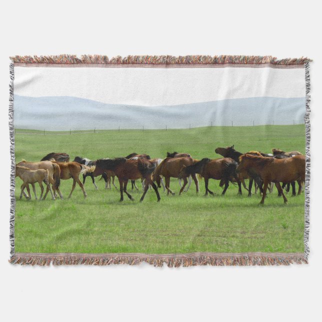 Cobertor Cavalos na Praga - Fotografia Paisagem (Frente)