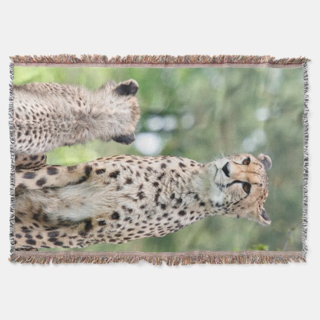 Cobertor Cheetah 004 (Frente)