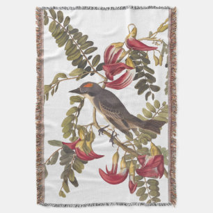 Cobertor Cinza Kingbird Audubon Bird em Flor