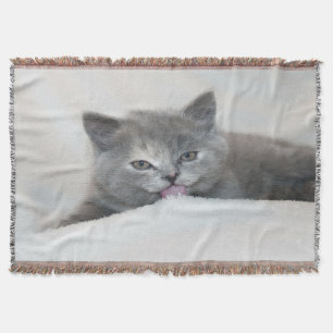 Cobertor Cinza Kitten Licenciando neve