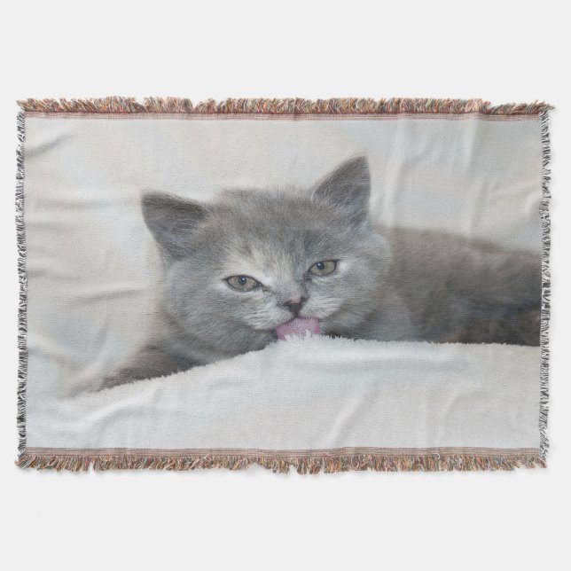 Cobertor Cinza Kitten Licenciando neve (Frente)