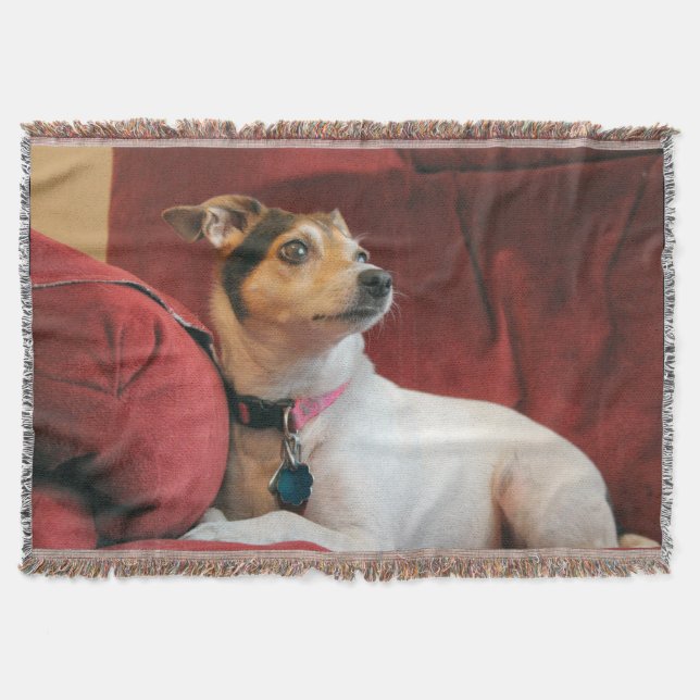 Cobertor Clássico (Frente)