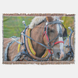 Cobertor Clydesdale Draft Horse Equine Photo Gift