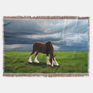 Cobertor Clydesdale Storm