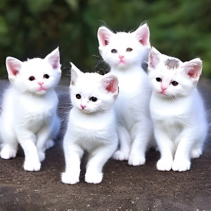 Cobertor Cobertura de Abelhas Ocupadas