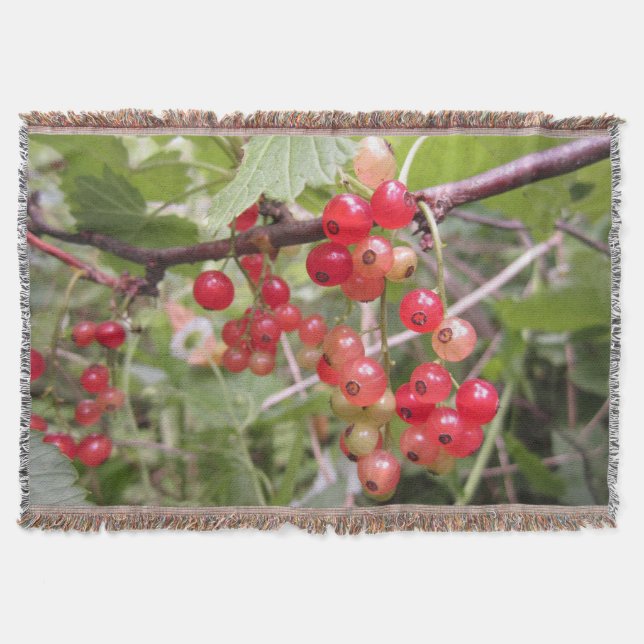 Cobertor Cobertura de lente de groselha vermelha (Frente)