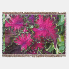 Cobertor Coleus Macro