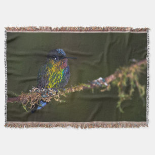 Cobertor Colibri