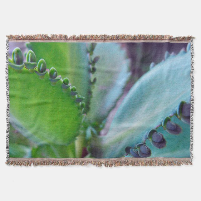 Cobertor Cores Kalonchoe (Frente)