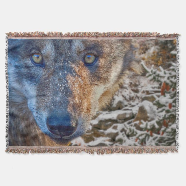 Cobertor CORREDOR DO WOLF WINTER DA cinza (Frente)
