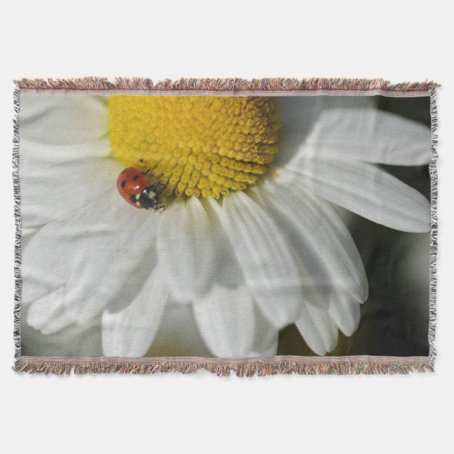 Cobertor Daisy E Um Ladybug (Frente)