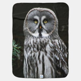 Cobertor De Bebe A coruja da Cinza Excelente bbi