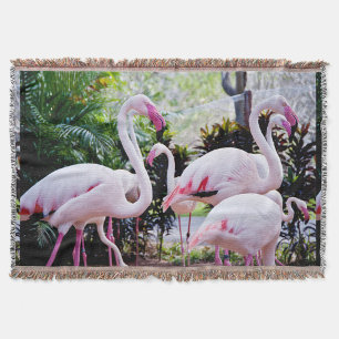 Cobertor de Lançamento do Paraíso do Flamingo Trop
