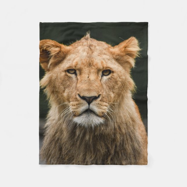 cobertor de leão (Frente)