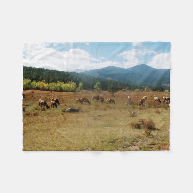 Cobertor de pulso de pulso de ângulo largo (Frente (Horizontal))