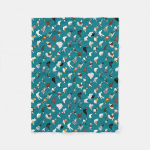 Cobertor De Velo 36 raças do pombo