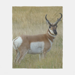 Cobertor De Velo A1 Pronghorn Antelope Big Buck
