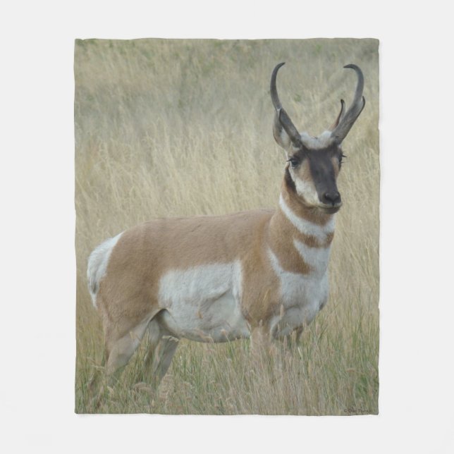 Cobertor De Velo A9 Pronghorn Antelope Big Buck (Frente)
